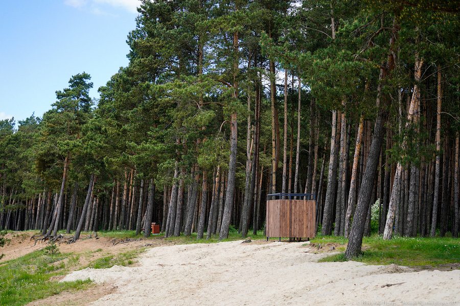 «Не врите мне»: фекалии в воде не портят отдых калининградским купальщикам (фото)