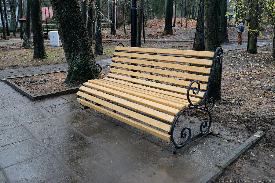 Властям Калининграда в 4 раз не удалось найти подрядчика для сквера на ул. Киевской