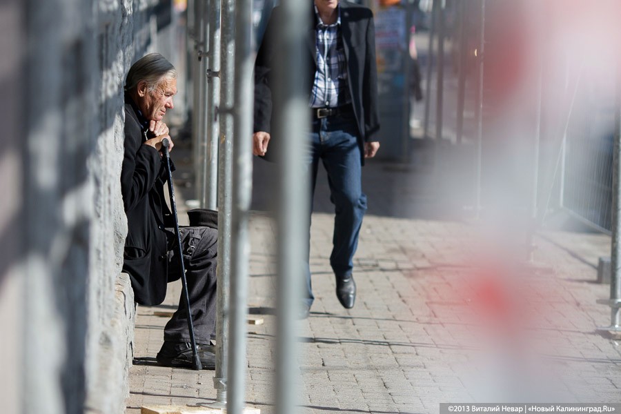 В Калининградстате рассказали, сколько пенсионеров среди иностранных мигрантов
