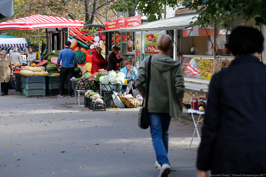 «Куда потом, воровать?»: Калининград на пороге новой палаточной войны