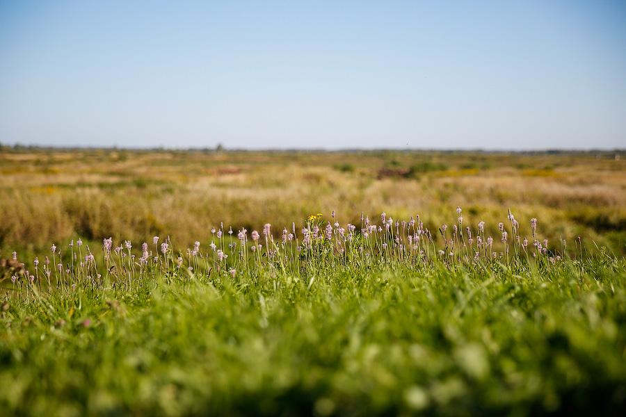Огнеопасная «Акация»: на полигоне вблизи границы с Литвой прошли учения Балтфлота