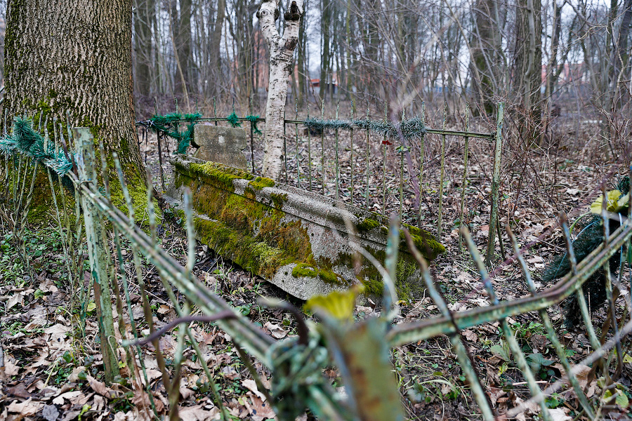 УМВД: под Черняховском мужчина пытался украсть дрова на кладбище