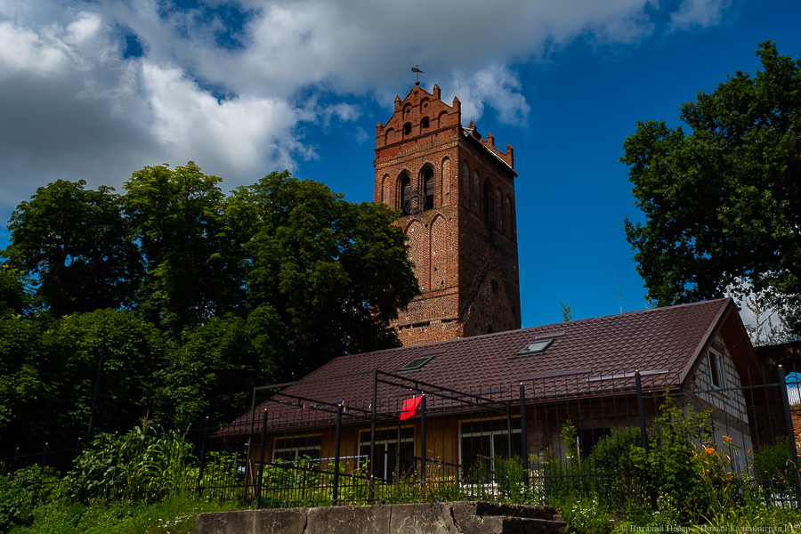 Фото: Виталий Невар / Новый Калининград 