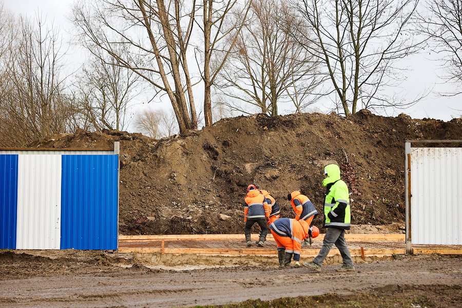 Минус 1,5 тыс. деревьев: на ул. Невского начались вырубки из-за строительства кампуса БФУ (фото)
