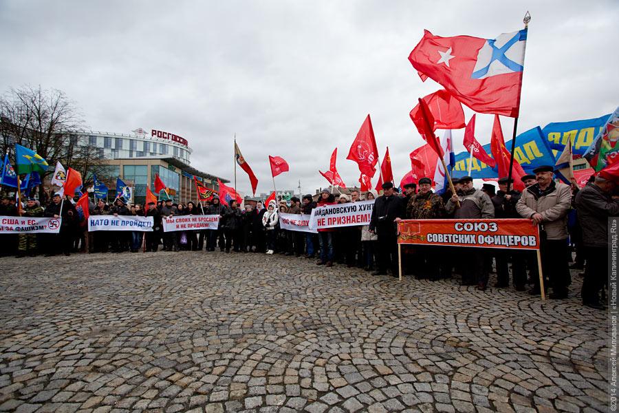 «Дежурный демагог взахлёб о чём-то врёт»: как в Калининграде митинговали за Крым (видео)