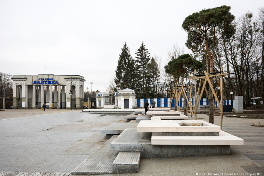 В трех соснах: как выглядит благоустроенная территория у стадиона «Балтика» (фото)