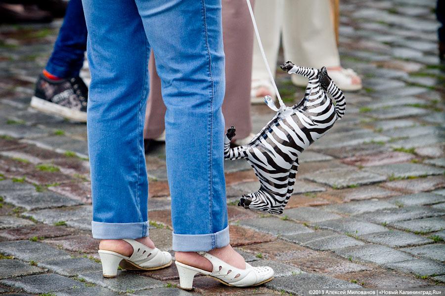 Ё ма ха, ё ма со: гала-концерт в День города-2013