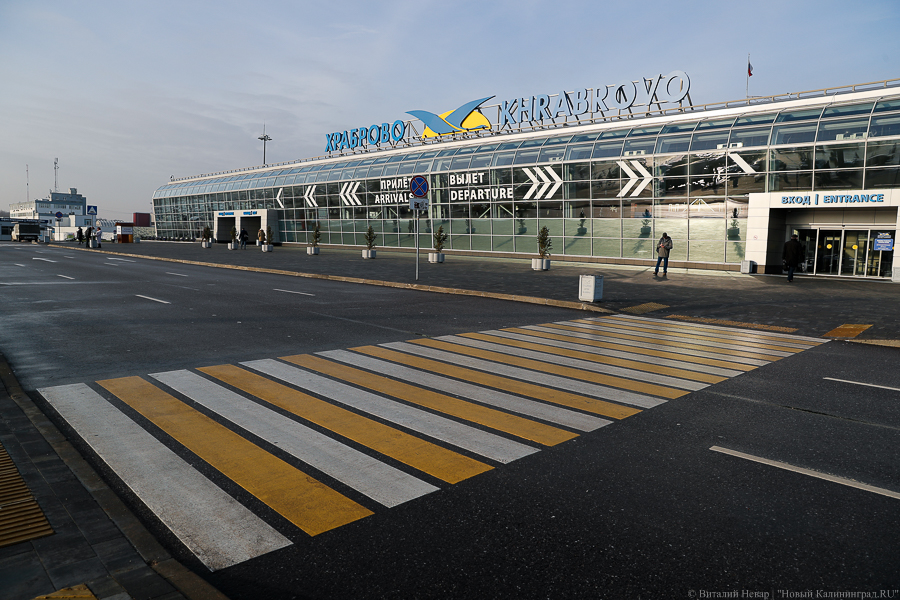 Платья-корсеты и вакцины для собак: что пытались в апреле вывезти из региона через «Храброво»