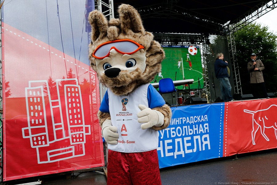 Футбол против дождя: Калининград отметил финальный день Кубка конфедераций