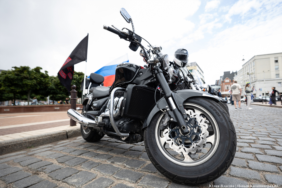 Триколор объединяет: как Калининград отметил День Государственного флага 