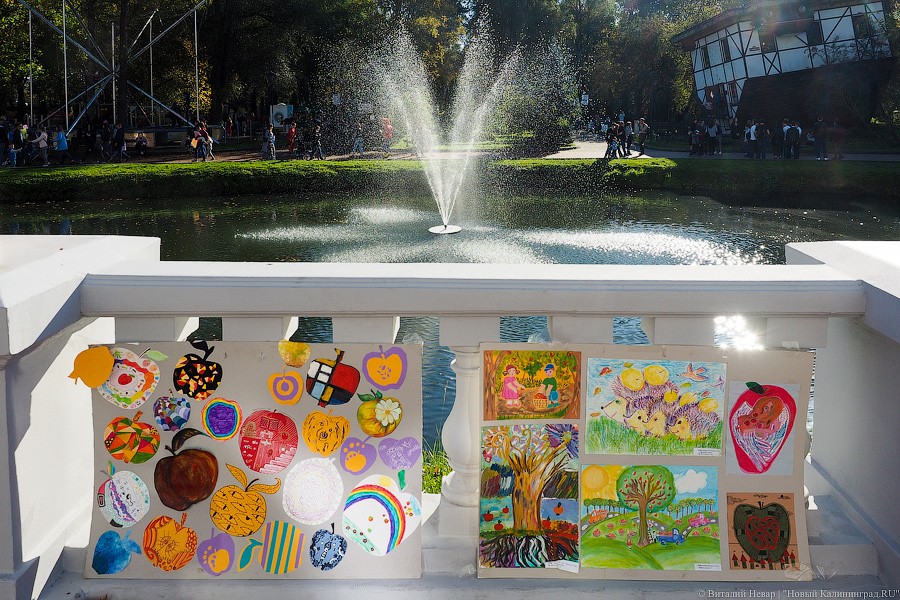 Традиционное осеннее добро: как прошел Благотворительный фестиваль шарлотки