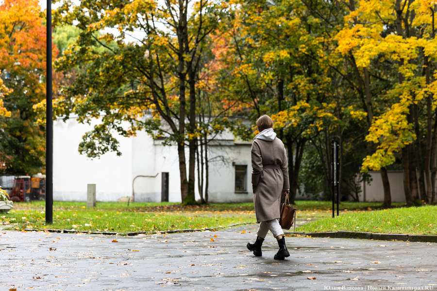 Погода в Калининградской области 5 ноября
