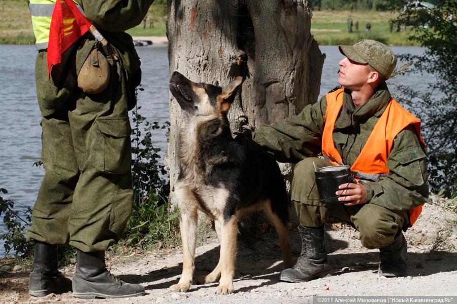 "В воде не тонут": фоторепортаж "Нового Калининграда.Ru"