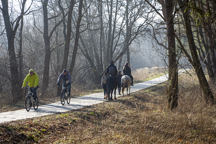 «Похолодание смягчилось»: прогноз погоды в Калининграде на неделю