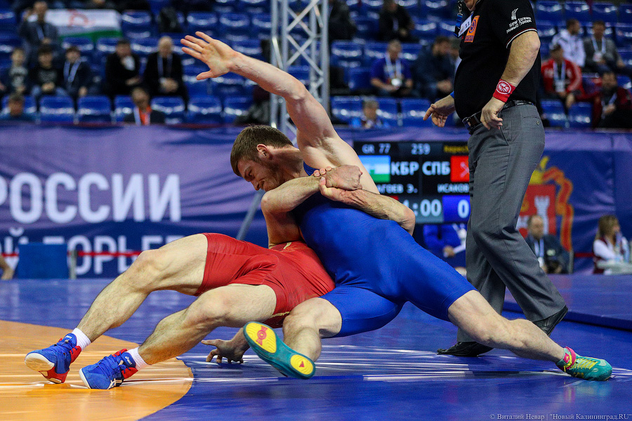 Просто мощь: чемпионат России по греко-римской борьбе идет в Калининграде (фото)