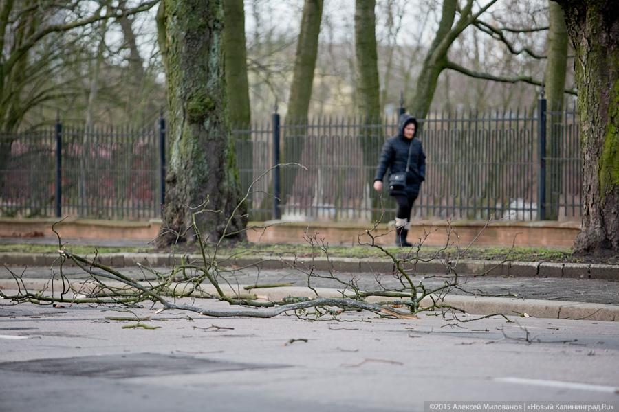 Летающий цирк: последствия урагана в Калининграде (фото)