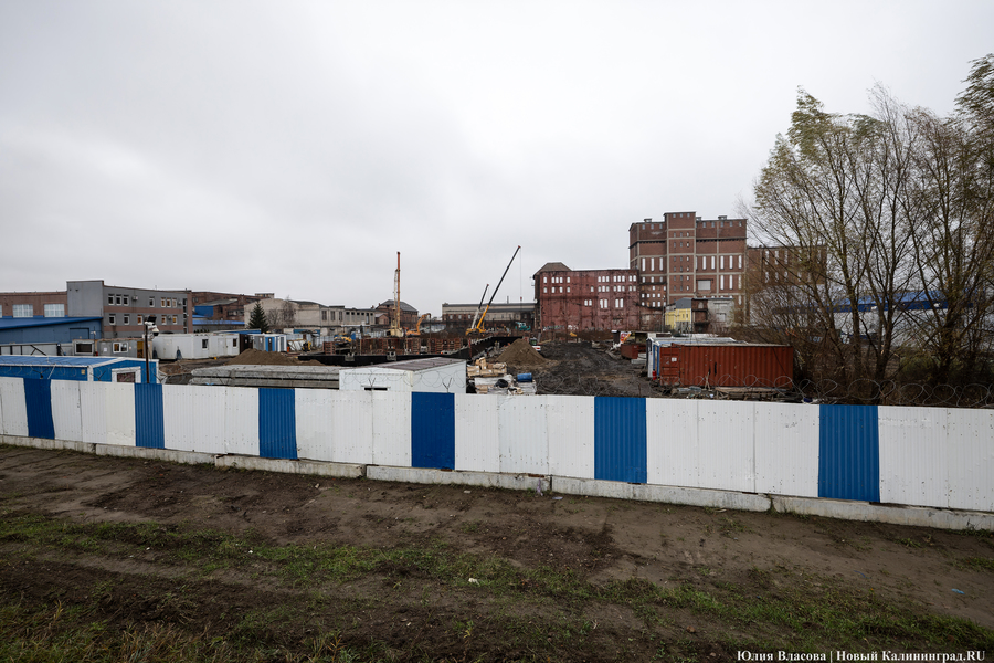 Постапокалиптический пейзаж: что происходит с территорией бывшего ЦБЗ-1 (фото)