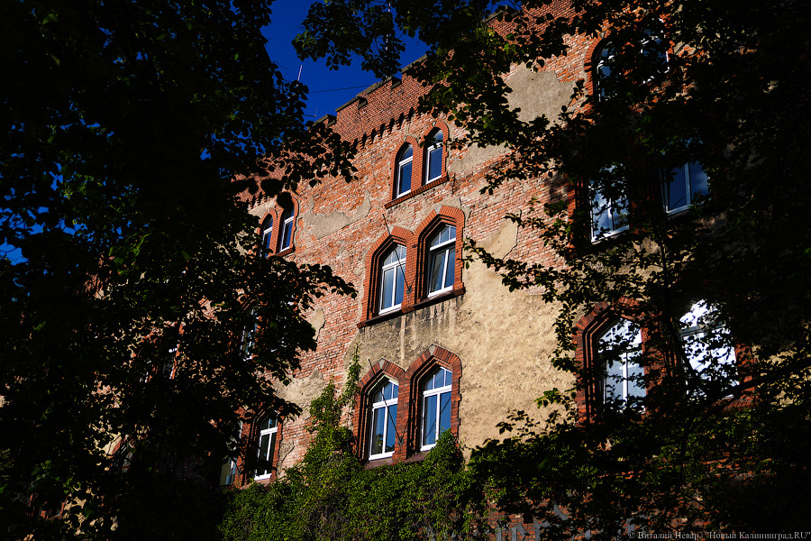 Повороты истории и улиц: как устроен спектакль-прогулка по району «Кронпринца» (фото)