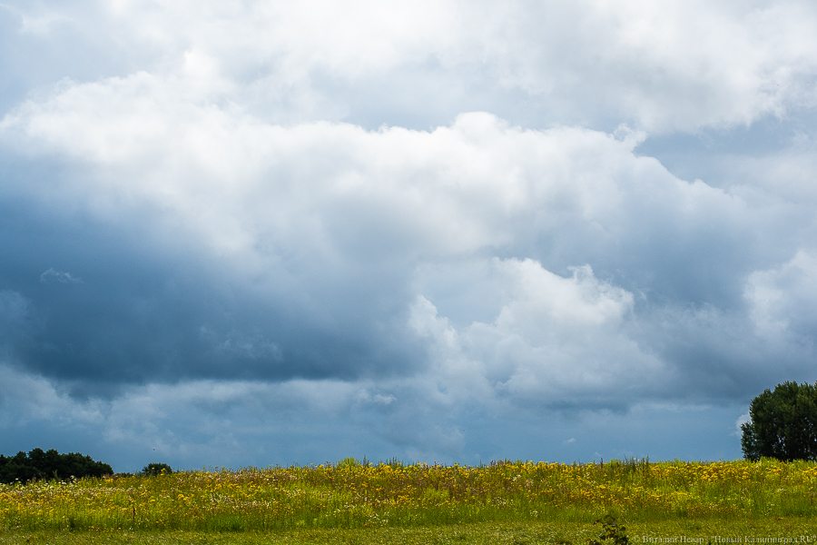 Калининградцев ожидает тёплая и облачная неделя