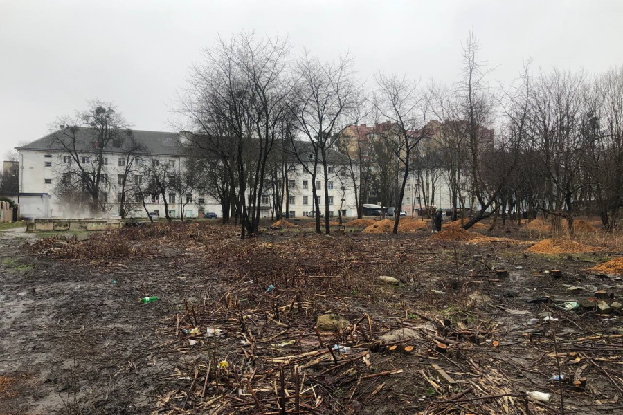 Застройщик, вырубивший 600 деревьев на ул. Невского, не согласен с суммой ущерба