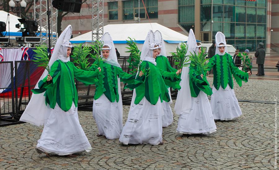 "Еле митинг": фоторепортаж "Нового Калининграда.Ru"