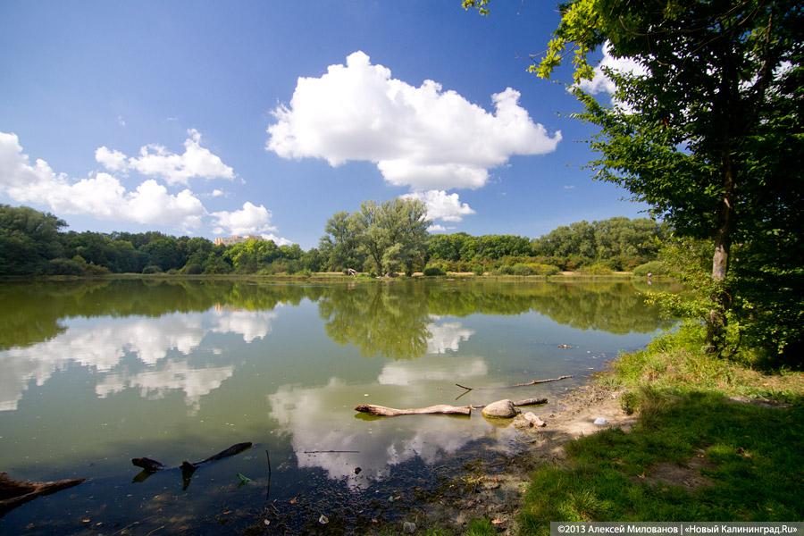 В ожидании чуда: судьба Макс-Ашманн-парка