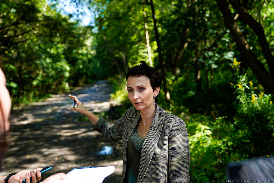 Ушедшая из правительства Сибирёва возглавила «цифровое государство» в филиале РАНХиГС