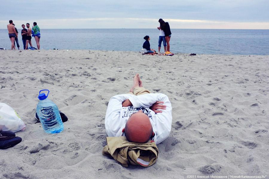 "Насекомая страна": фоторепортаж "Афиши Нового Калининграда.Ru"