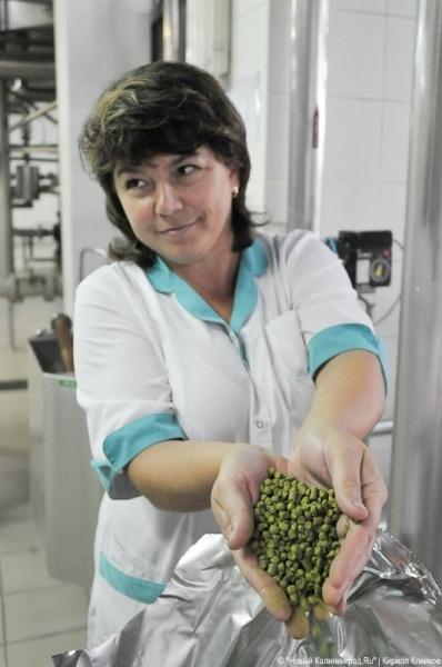 100-летие завода «Остмарк»: фоторепортаж "Нового Калининграда.Ru"