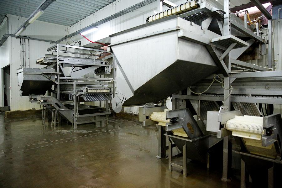 Без паники и спасибо Путину: что думают производители хлеба и консервов о продовольственном эмбарго