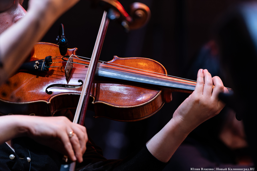 «Территория мира — Территория музыки»: как проходит open-air классической музыки