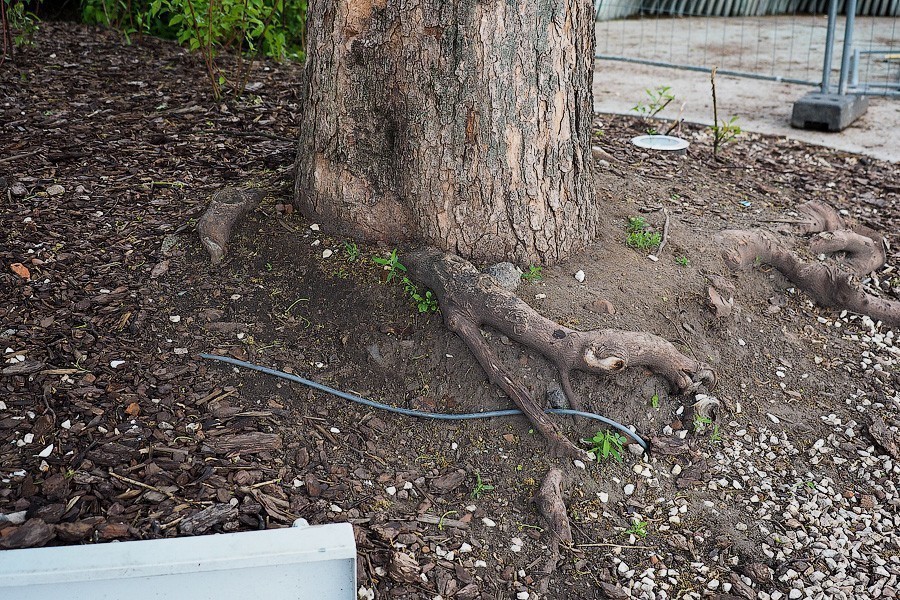 В Калининграде решили ремонтировать сквер с фонтаном спустя год после открытия (фото)