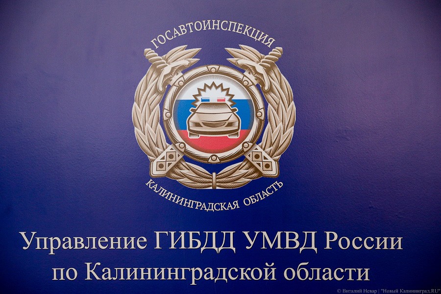 ГИБДД оказала калининградцам более 14 тысяч госуслуг
