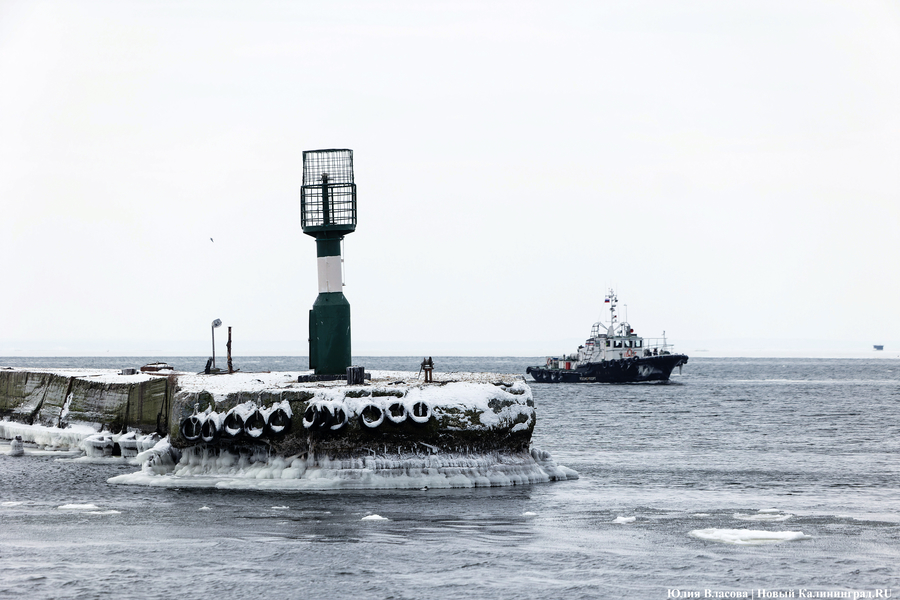 Редкое явление: океанолог о последствиях понижения уровня воды в Балтийском море