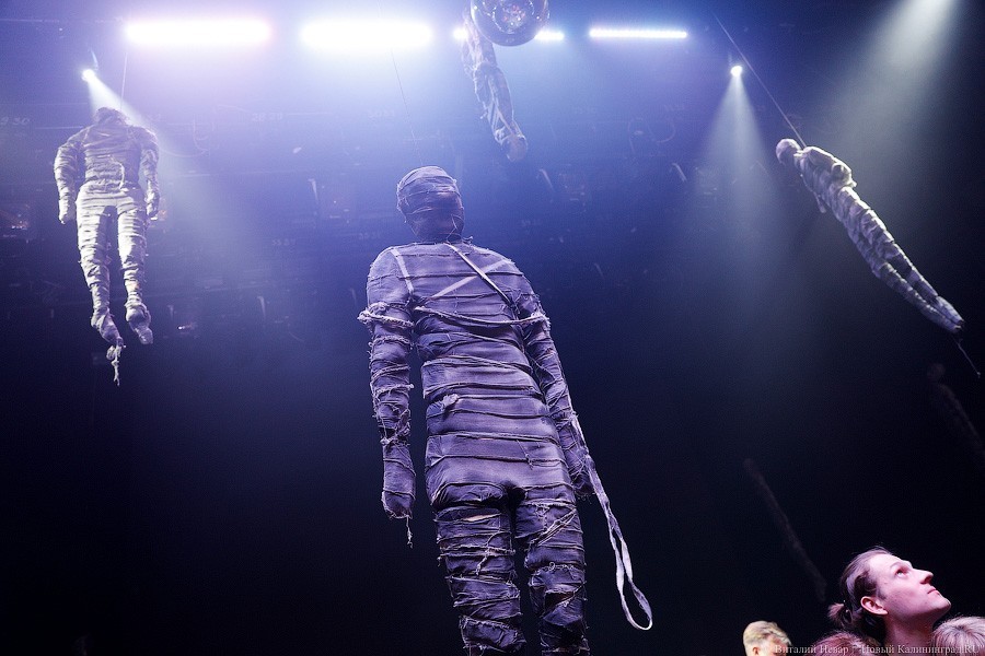 Гришковец по кругу: как прошла калининградская Музейная ночь