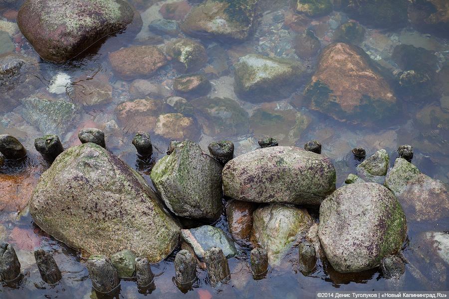 «Жим сидя, коты и обломки»: променад в Зеленоградске в туристическое межсезонье