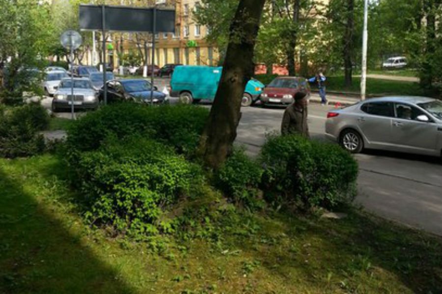 Из-за ДТП на Озерова заблокирована одна полоса (фото)