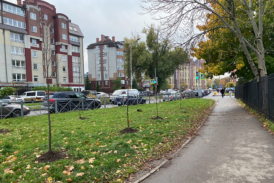 В районе Невского, Куйбышева, Гагарина и Литвала ожидается изменение планировки