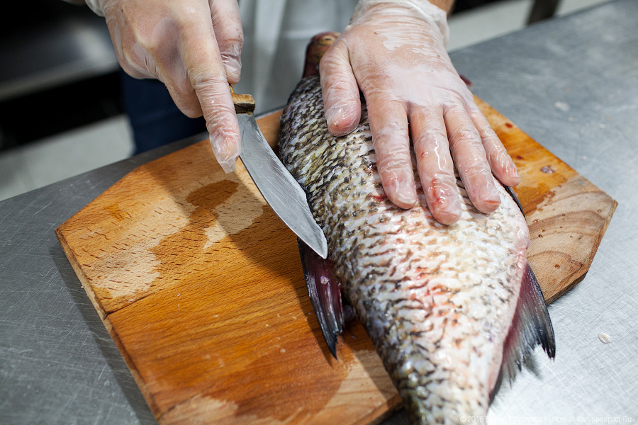 Треска из Пионерского, лещ из Полесска: что такое калининградская кухня