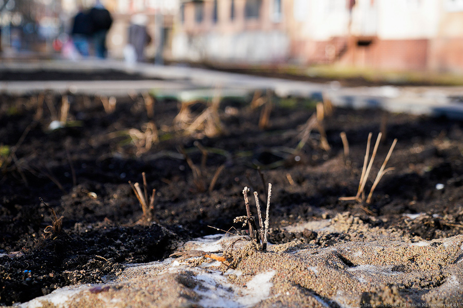 Как выглядит обновленная пешеходная зона на улице Рокоссовского без снега (фото)