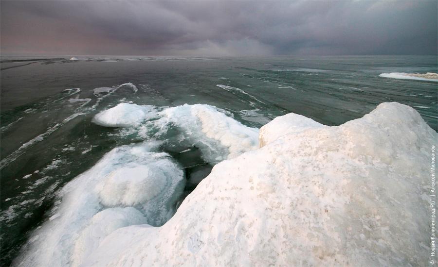 "Сцены у моря": фоторепортаж "Нового Калининграда.Ru"
