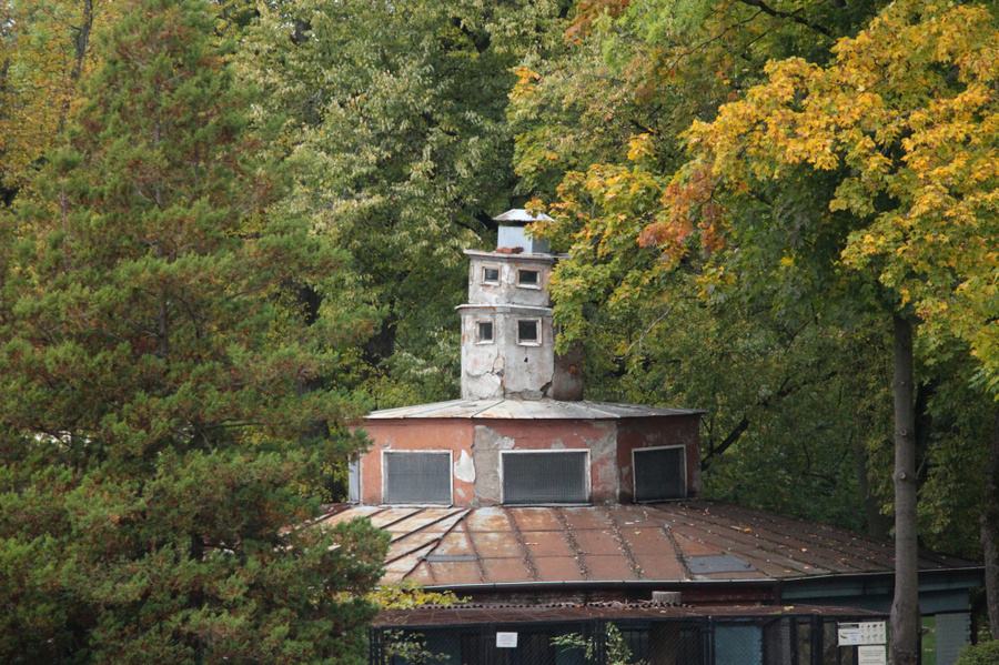 В Калининградском зоопарке из-за аварийного состояния закрыли террариум  (фото)