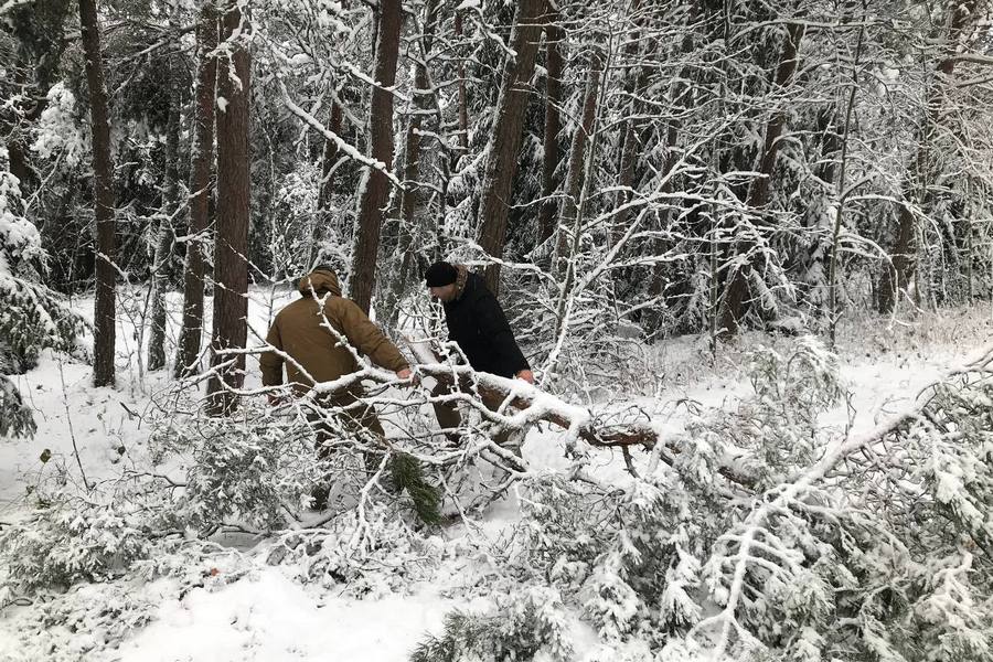 На Куршской косе предупреждают о небезопасности прогулок