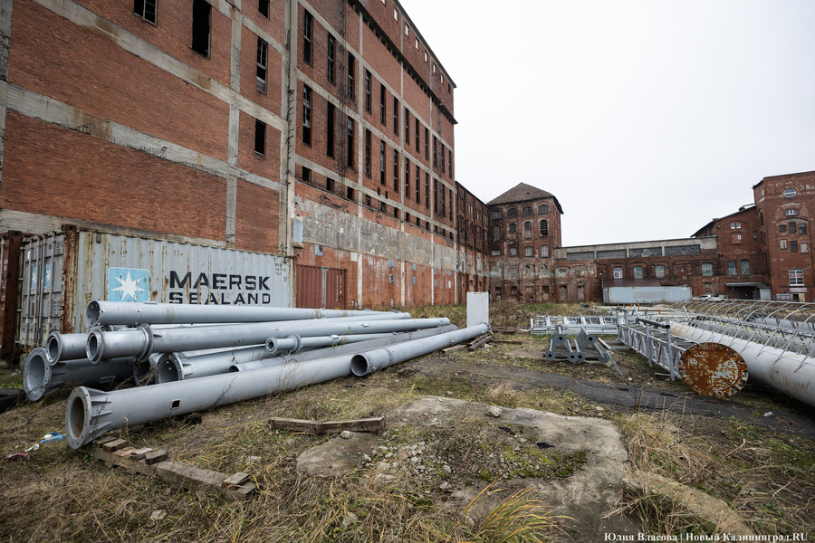 Постапокалиптический пейзаж: что происходит с территорией бывшего ЦБЗ-1 (фото)