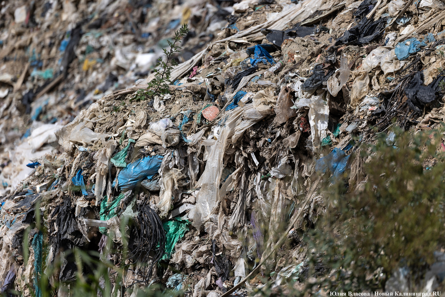 «Стихией управлять не научились»: как глава Минприроды РФ понюхал воздух в Круглово (фото)