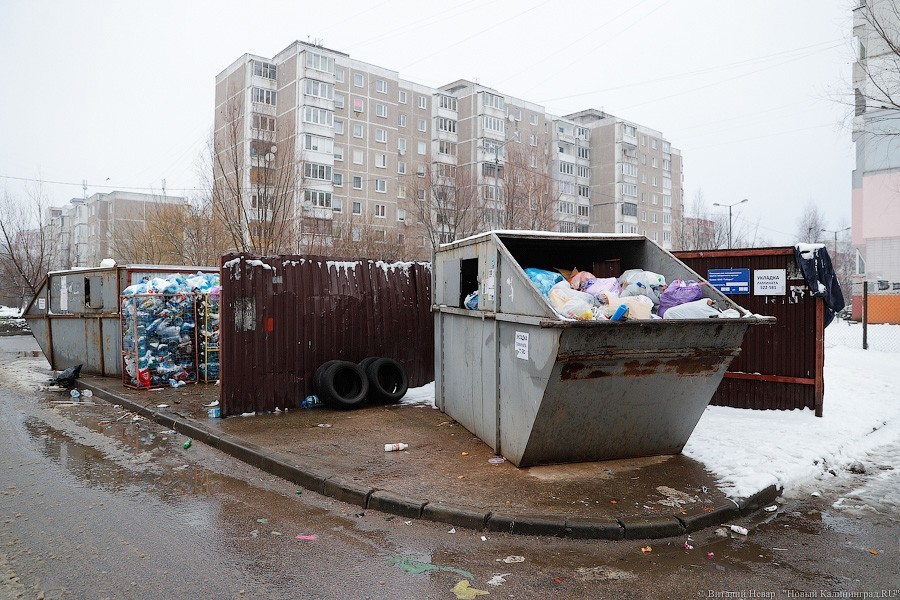 В минэкологии допустили, что у музеев резко выросла плата за мусор из-за ошибки