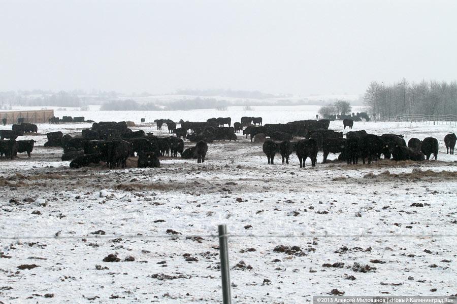 «Это же не Урюпинск!»: Николай Цуканов в Озёрске