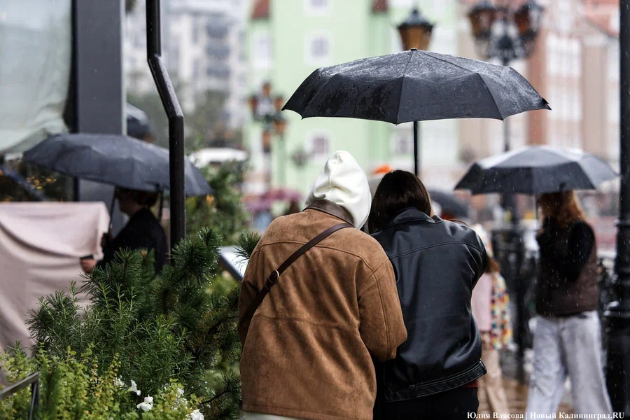 Ожидаются ливни: погода в Калининграде 16 сентября