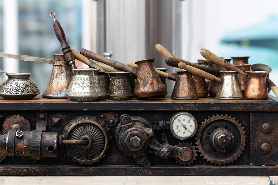 В РФ официальный статус получили профессии фитнес-тренера, грумера и бариста