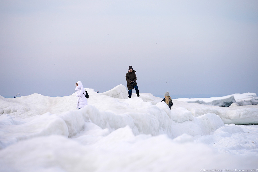 В Калининградской области массово гуляют по морскому льду, несмотря на запрет МЧС (фото)